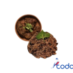 Fricase de cerdo